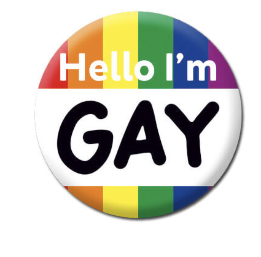 DM HELLO I'M GAY BADGE