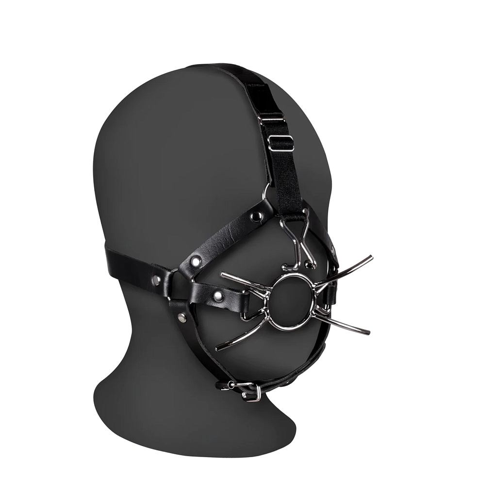 OUCH HEAD HARNESS W/ SPIDER GAG/ NOSE HOOKS