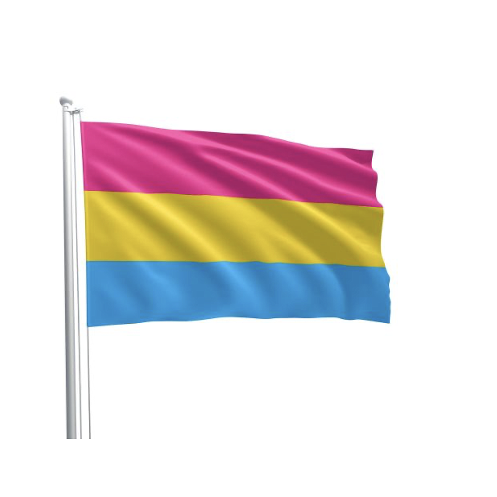 PRIDE FLAG PANSEXUL