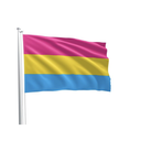 PRIDE FLAG PANSEXUL
