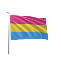 [2100000379002] PRIDE FLAG PANSEXUL