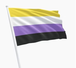 [2100000390540] PRIDE FLAG NON BINARY 90x150cm 
