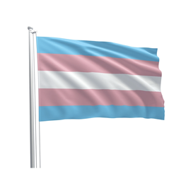 [2100000390557] PRIDE FLAG TRANS 90x150cm 